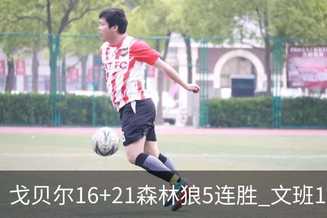 戈贝尔16+21森林狼5连胜 文班12+10马刺15连败